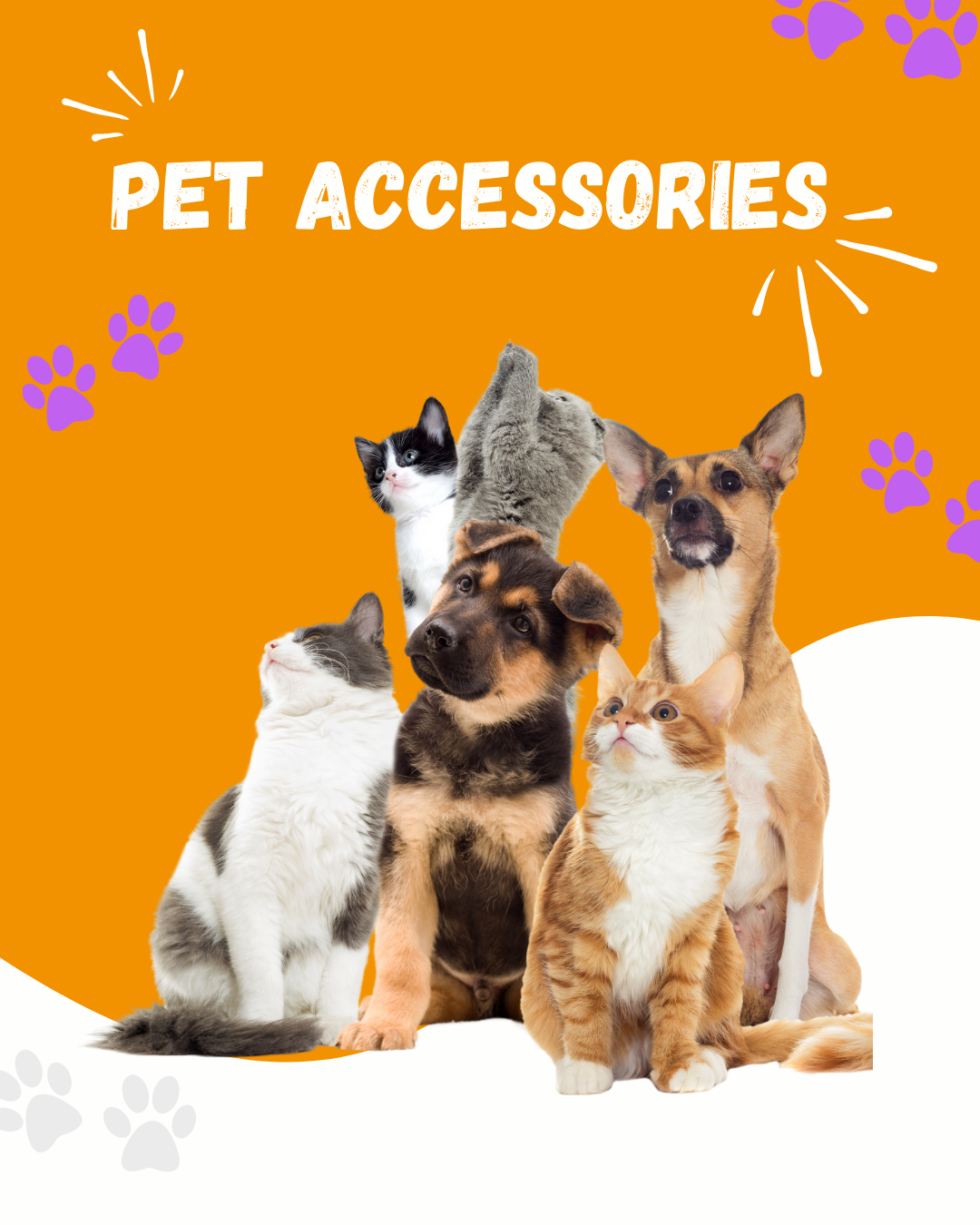 Pet's Accessories